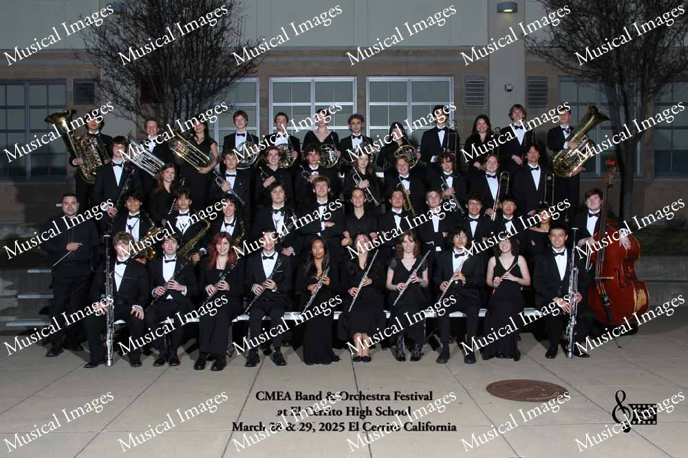 Musical Images